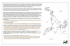 col27 macao_thumb.gif